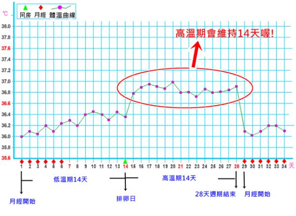 37度以上 基礎体温 高温期